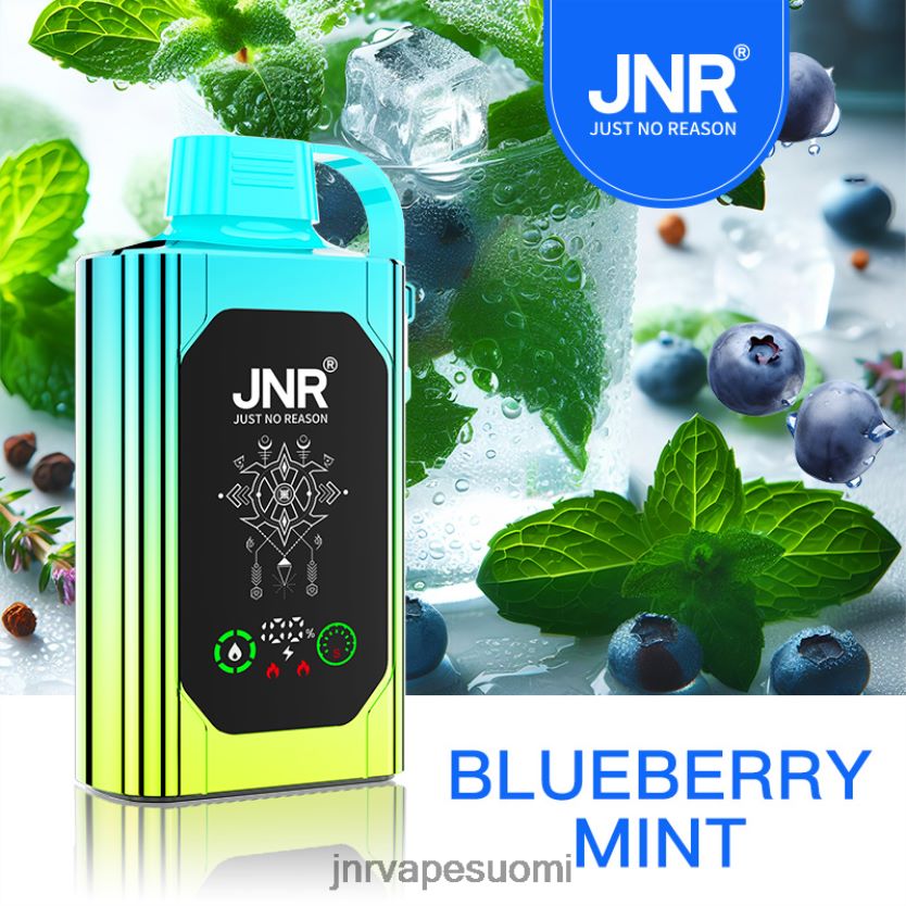 T0D02J88 JNR SHISHA laatikko mustikka minttu | JNR VAPE FLAVOURS