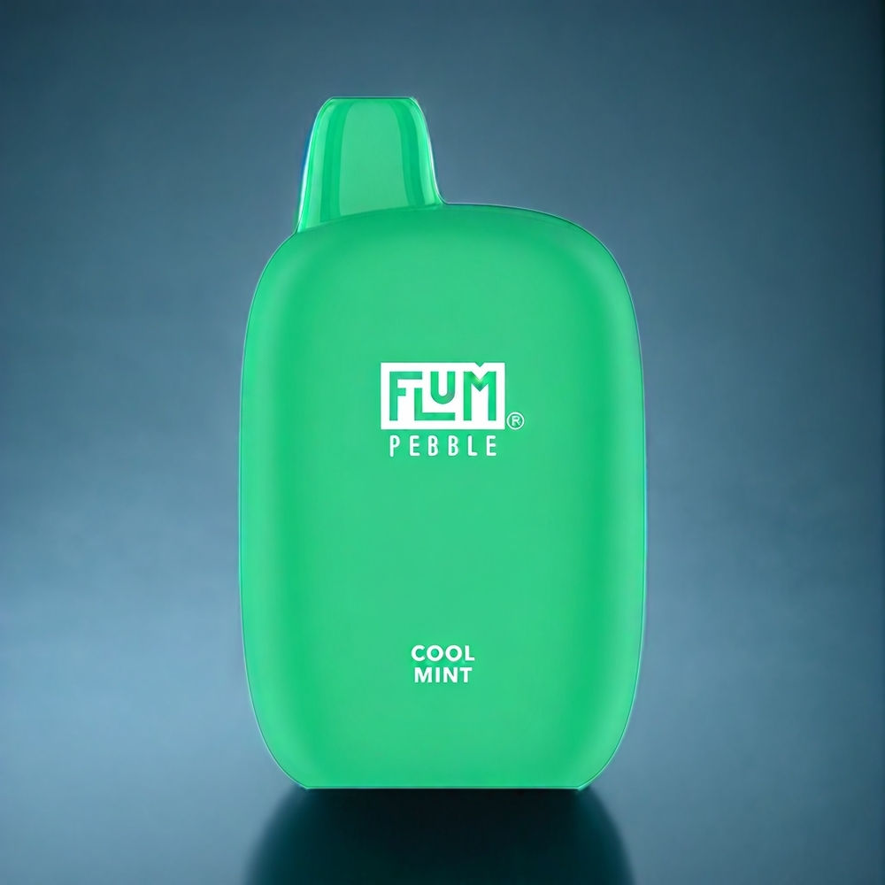 Suomi tukku Flum Pebble 6000 Puffs 10ml 5% Nikotiini Viileä Mint Mesh Coil 500mAh Type-C