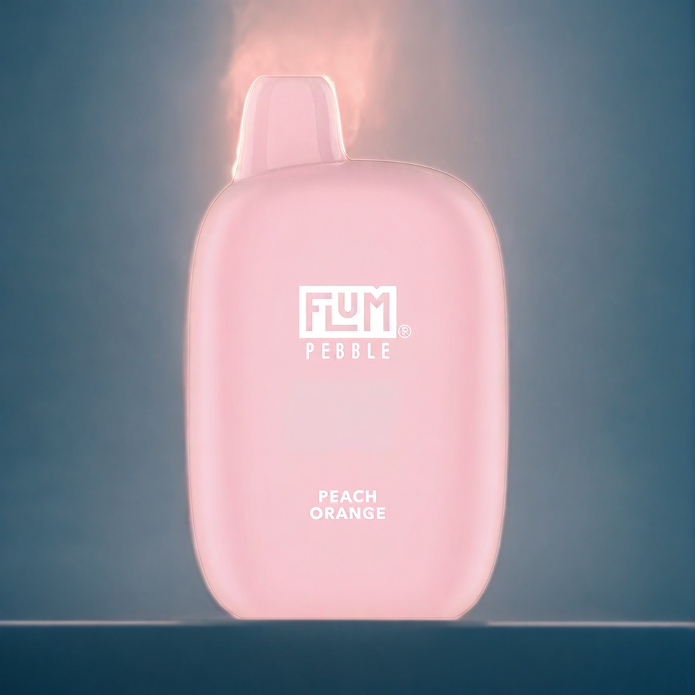 Suomi tukku Flum Pebble 6000 Puffs 10ml 5% Peach Orange Mesh Coil 500mAh Type-C Charger