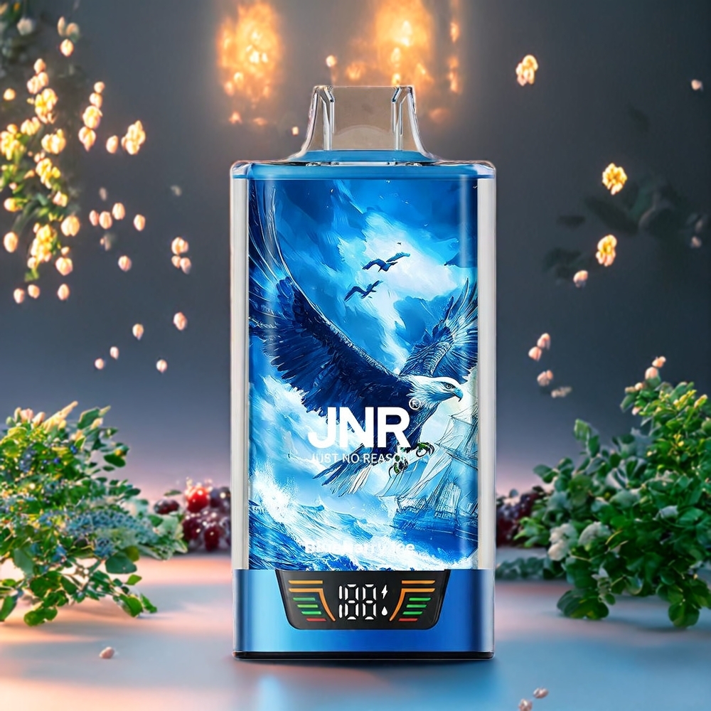 Suomi tukku JNR Falcon Pro 28000 Puffs 30ml E-liquid Dual Mesh Coil Mustikka-Jää