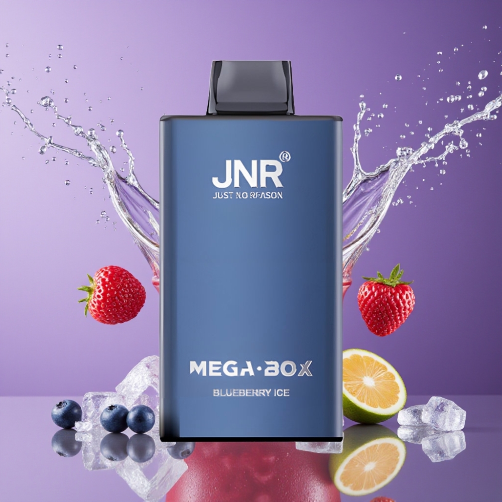 Suomi tukku JNR Mega Box 25000 Puffs Disposable Vape Mustikkajää 850mAh Type-C 30ml