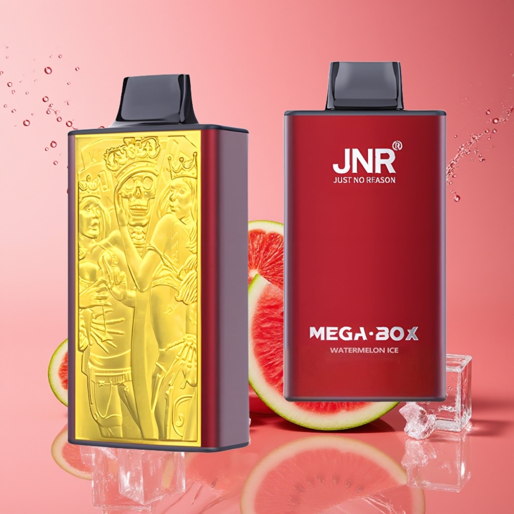 Suomi tukku JNR Mega Box 25000 Puffs Disposable Vape Vesimeloni Jää 30ml 850mAh Dual Mesh Coil Type-C
