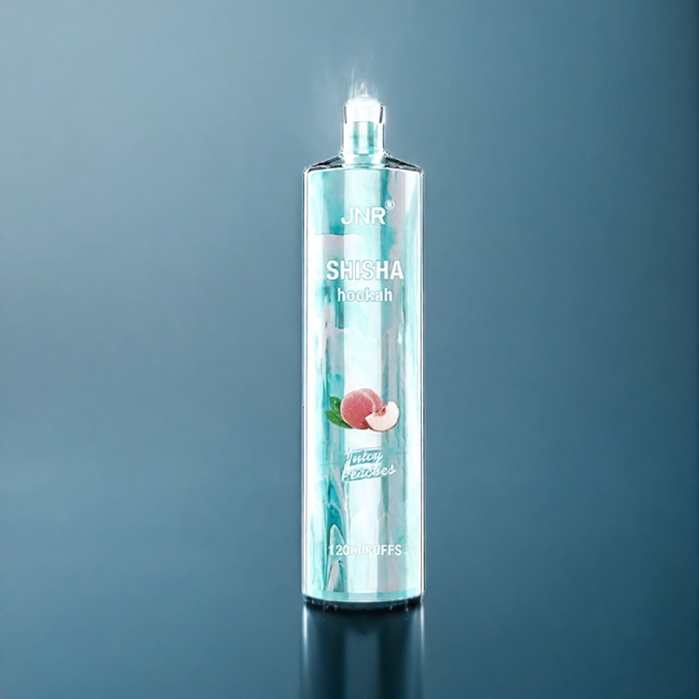 JNR Shisha Hookah 12000 Puffs Vape Juicy Peaches Suomi Tukku 750mAh 24ml Type-C Fast Charging