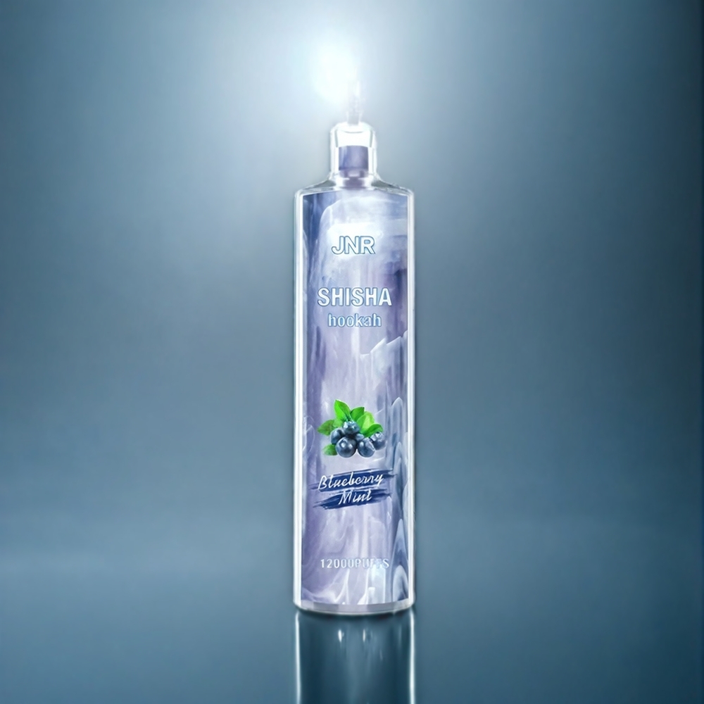 JNR Shisha Hookah 12000 Puffs Vape Mustikka Mint Suomi tukku – 750mAh / 24ml / Type-C