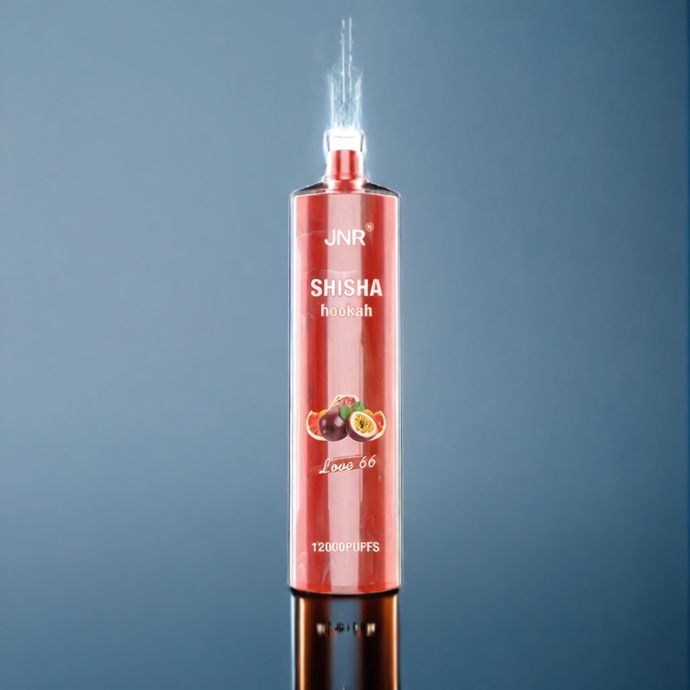 Suomi tukku JNR Shisha Hookah 12000 Puffs 750mAh Type-C 24ml 0.6 Ohm Mesh Love 66