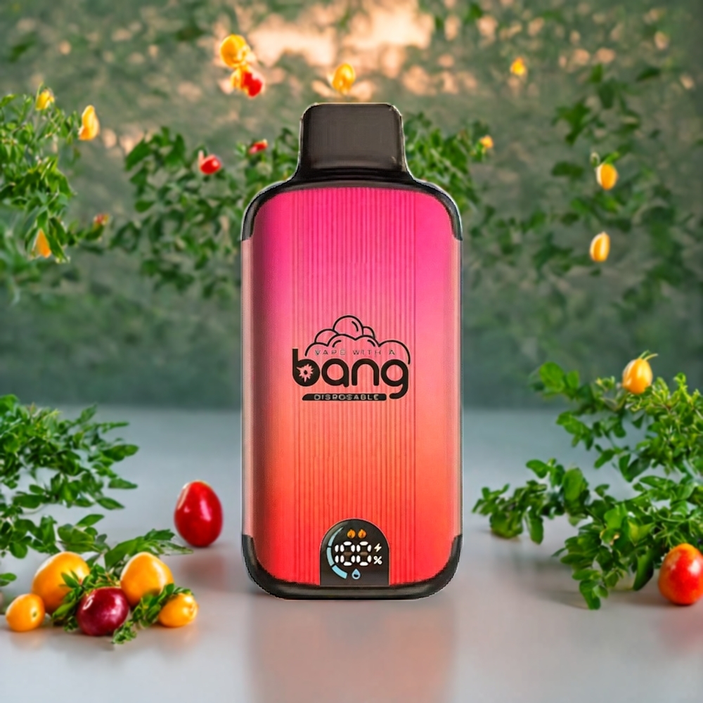 Suomi tukku Bang 20000 Puffs Disposable Vape Mango-Persikka-Vesimeloni, 13400 Akku, Type-C Lataus, Dual Mesh-käämit, Älykäs Näyttö, 0%,2%,3%,5% Nikotiinia