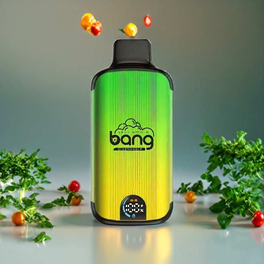 Suomi tukku Bang 20000 Puffs Disposable Vape Mint - 13400 Battery, Type-C Charging, Dual Mesh Coil, Smart Screen, 0-5% Nikotiini