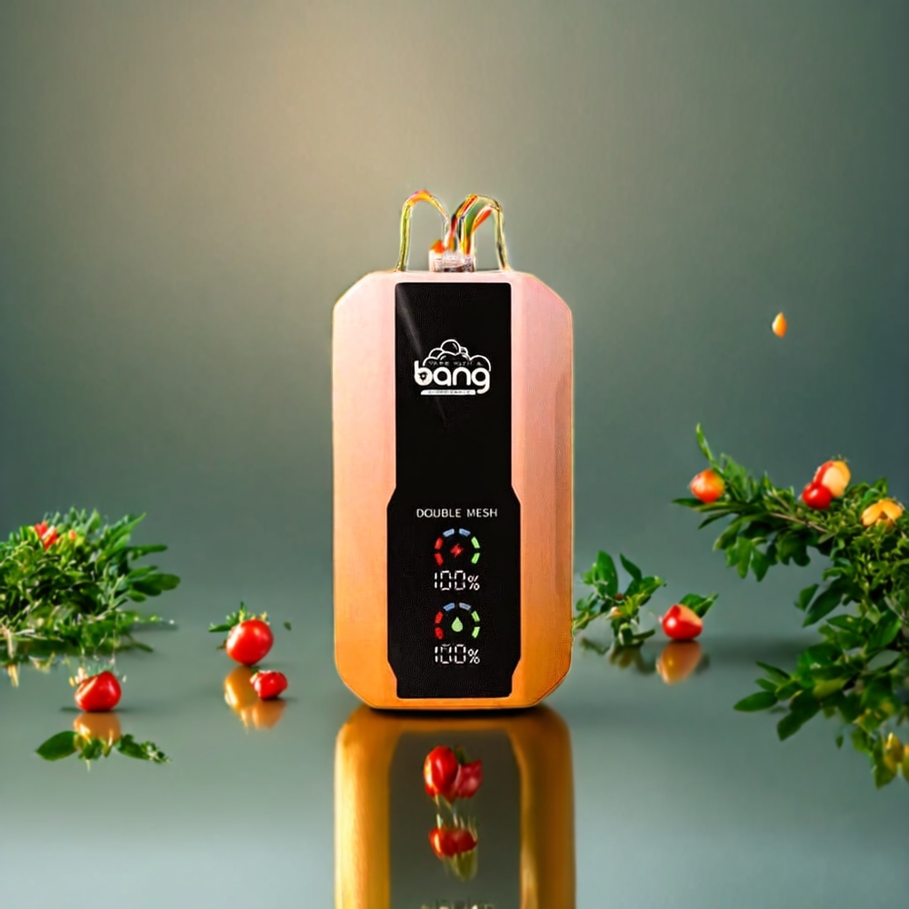 Suomi tukku Bang 25000 Puffs Disposable Vape Mango-Persikka 30ml 650mAh Type-C