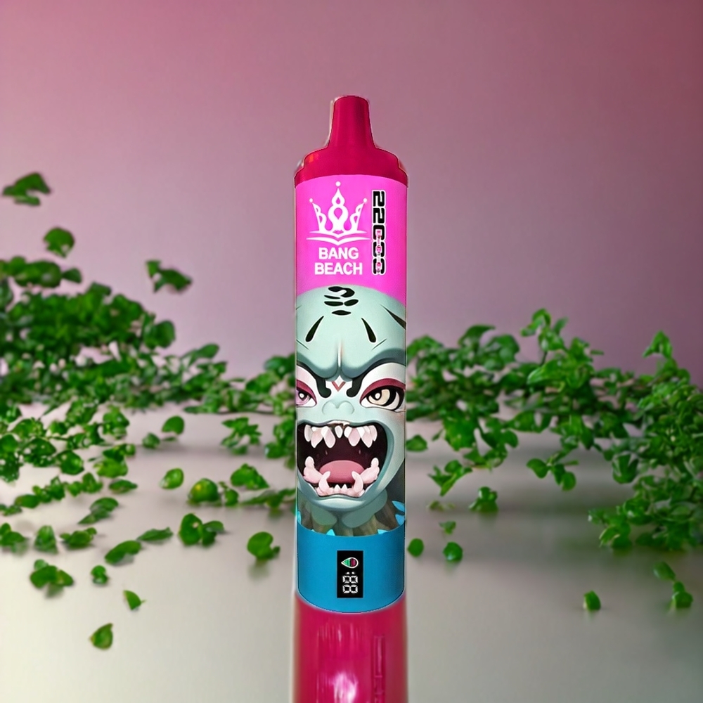 Suomi tukku Bang Beach 22000 Puffs 36ml 650mAh Disposable Vape Pink Lemonade 0%/2%/3%/5%