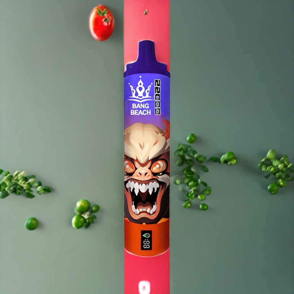 Suomi tukku Bang Beach 22000 Puffs 36ml 650mAh Disposable Vape Vesimeloni Jää
