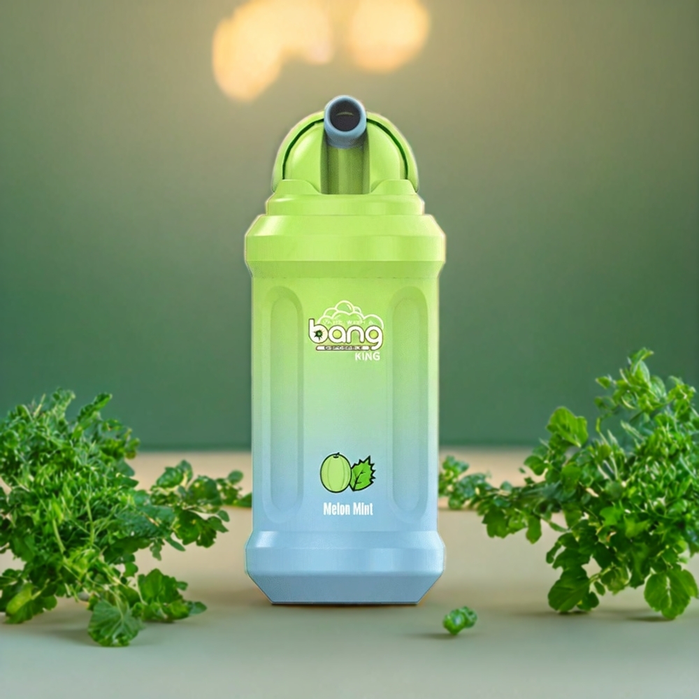 Suomi tukku Bang King 12000 Puffs Disposable Vape Melon Mint 23ml 650mAh Mesh 1.2 Ohm