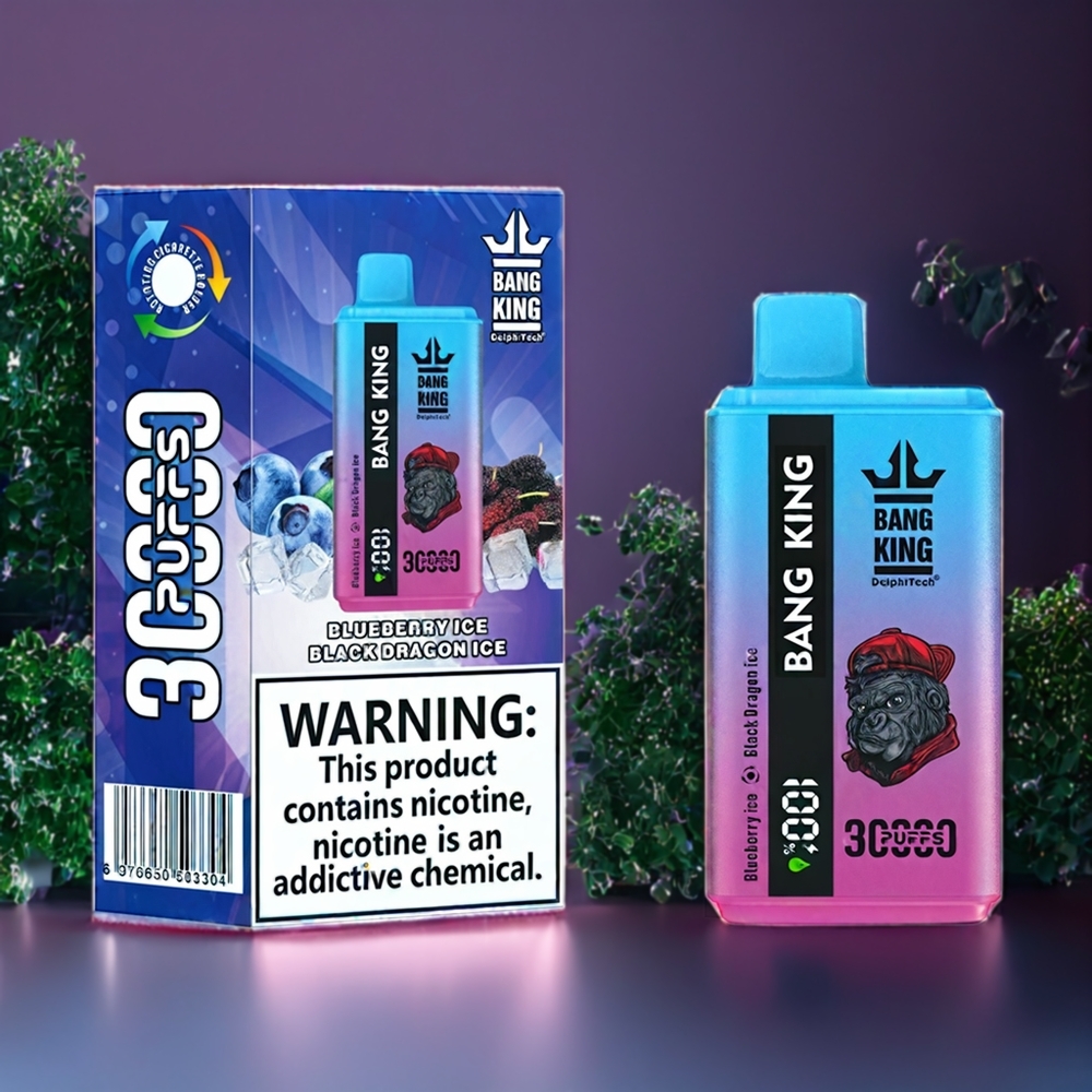 Suomi tukku Bang King 30000 Puffs 36ml 550mAh Type-C Disposable Vape Mustikka-Jää Musta Lohikäärme-Jää