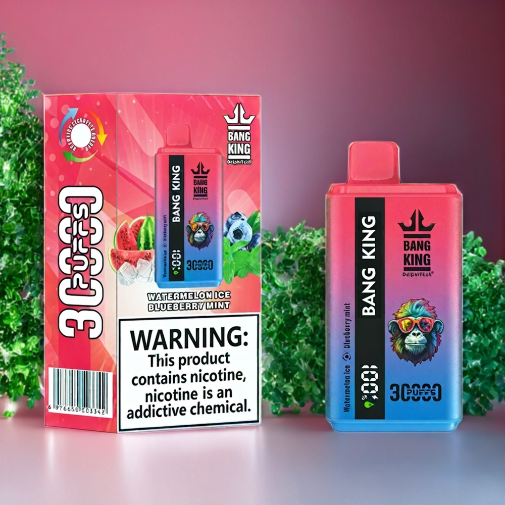 Suomi tukku Bang King 30000 Puffs 36ml vesimeloni-jää sinimarja-minttu Disposable Vape 550mAh Type-C