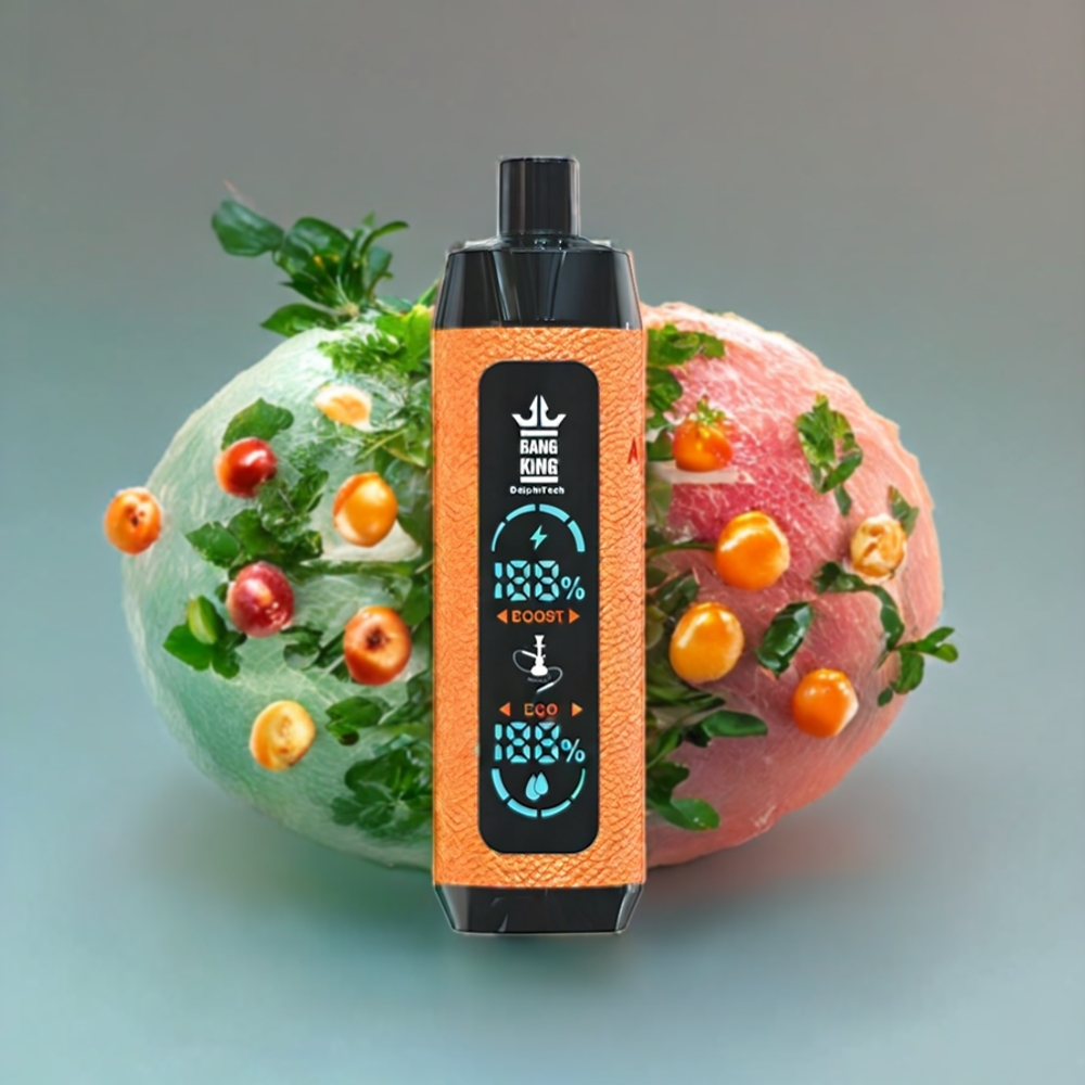 Suomi tukku Bang King Shisha 25000 Puffs 30ml 650 mAh 0.6 Ohm Mesh Coil Type-C Disposable Vape Persikka Jää