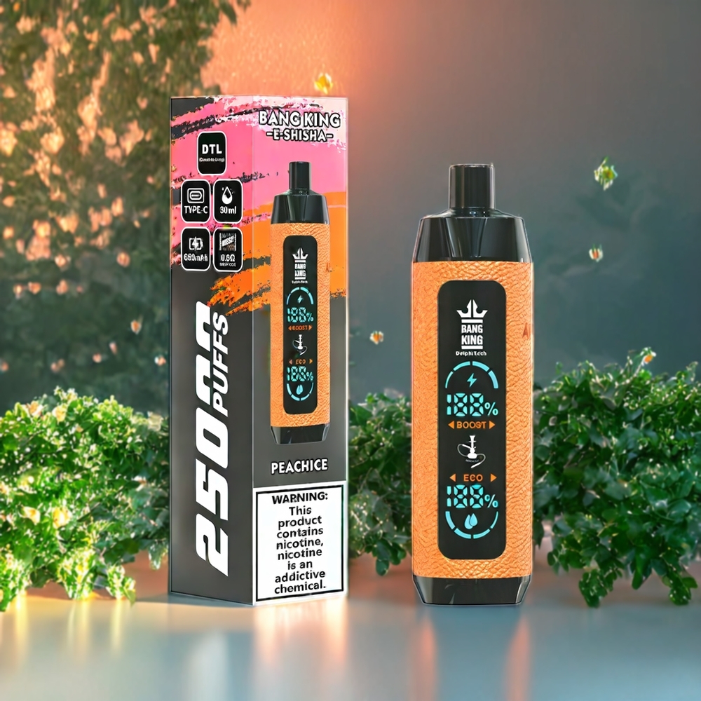 Suomi tukku Bang King Shisha 25000 Puffs 30ml 650 mAh 0.6 Ohm Mesh Coil Type-C Disposable Vape Persikka Jää