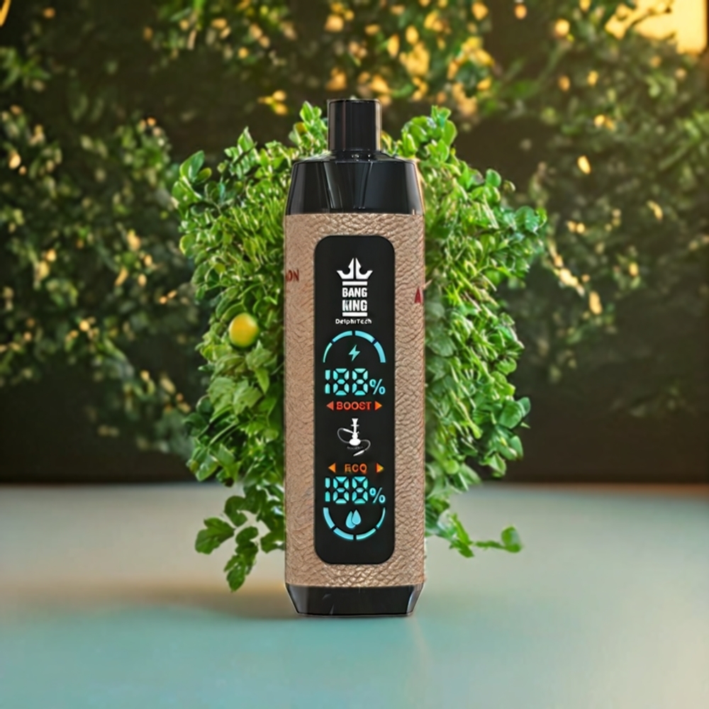 Suomi tukku Bang King Shisha 25000 Puffs 30ml 650 mAh Type-C 0.6 Ohm Mesh Coil Lenmon Mint Disposable Vape