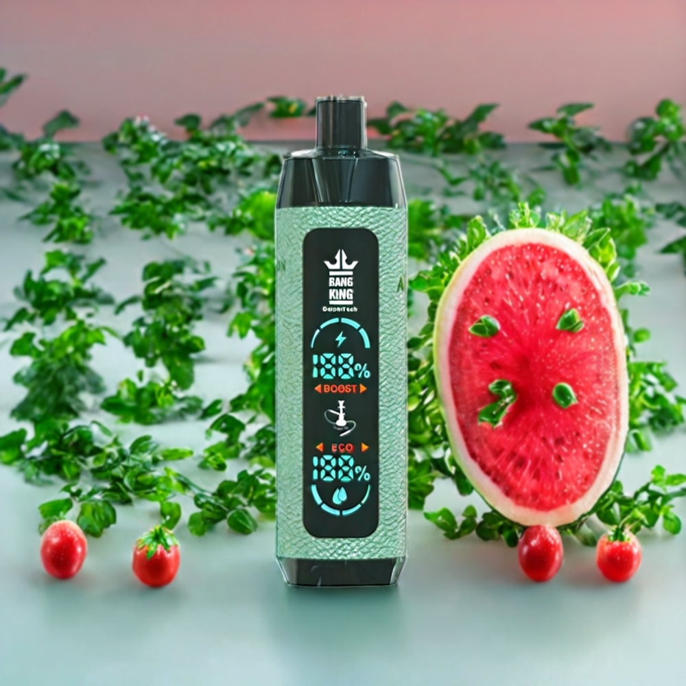 Suomi tukku Bang King Shisha 25000 Puffs 30ml Vesimelonijää Disposable Vape 650 mAh Type-C Lataus