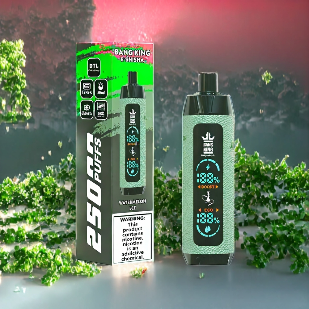 Suomi tukku Bang King Shisha 25000 Puffs 30ml Vesimelonijää Disposable Vape 650 mAh Type-C Lataus