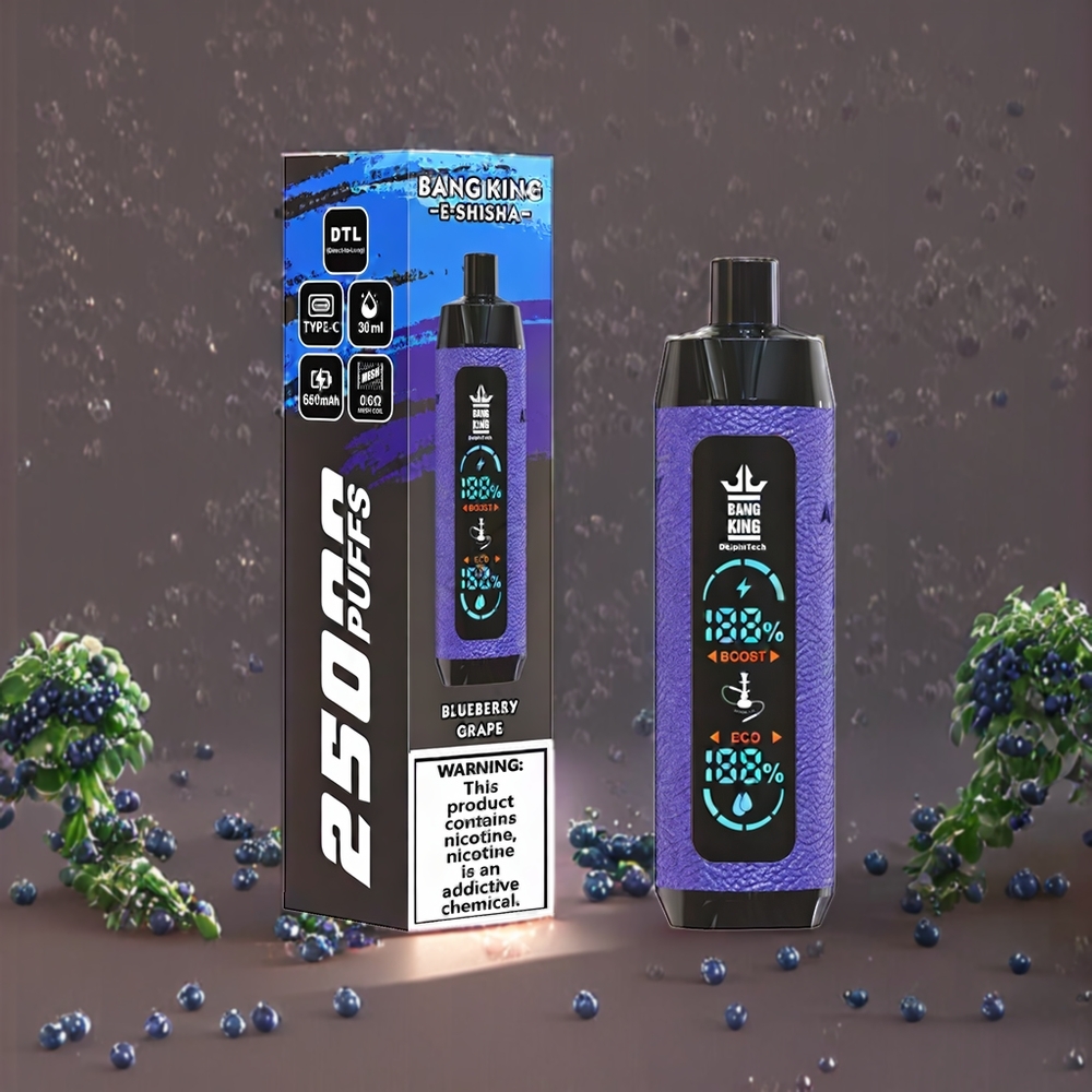 Suomi tukku Bang King Shisha 25000 Puffs Disposable Vape Mustikka Viinirypäle 30ml 650 mAh Type-C 0.6 Ohm Mesh
