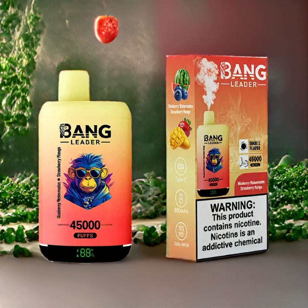 Suomi tukku Bang Leader 45000 Puffs Disposable Vape Mustikka-Arbuusi-Mansikka-Mango, Smart Screen Display, Type-C USB, Dual Flavor 2-in-1