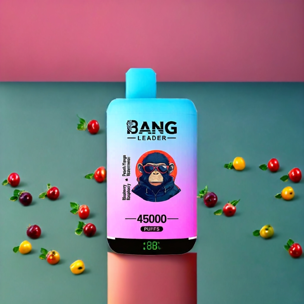 Suomi tukku Bang Leader 45000 Puffs Disposable Vape Mustikka Vadelma Persikka Mango Vesimeloni – 45000 Puffia, Älykäs Näyttö, Type-C USB, Kaksoismaku