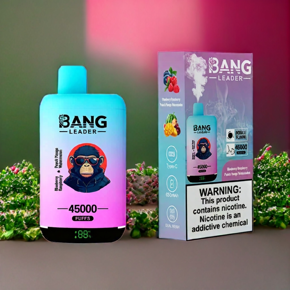 Suomi tukku Bang Leader 45000 Puffs Disposable Vape Mustikka Vadelma Persikka Mango Vesimeloni – 45000 Puffia, Älykäs Näyttö, Type-C USB, Kaksoismaku