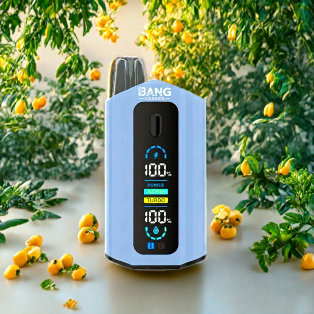 Suomi tukku Bang Leader 50000 Puffs Disposable Vape 13400mAh Banaani-Jää Mango 2-in-1