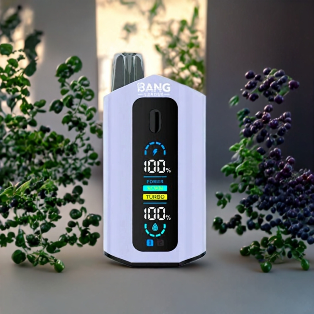 Suomi tukku Bang Leader 50000 Puffs Disposable Vape Musta Viinirypäle Vihreä Viinirypäle 13400mAh 36ml Type-C