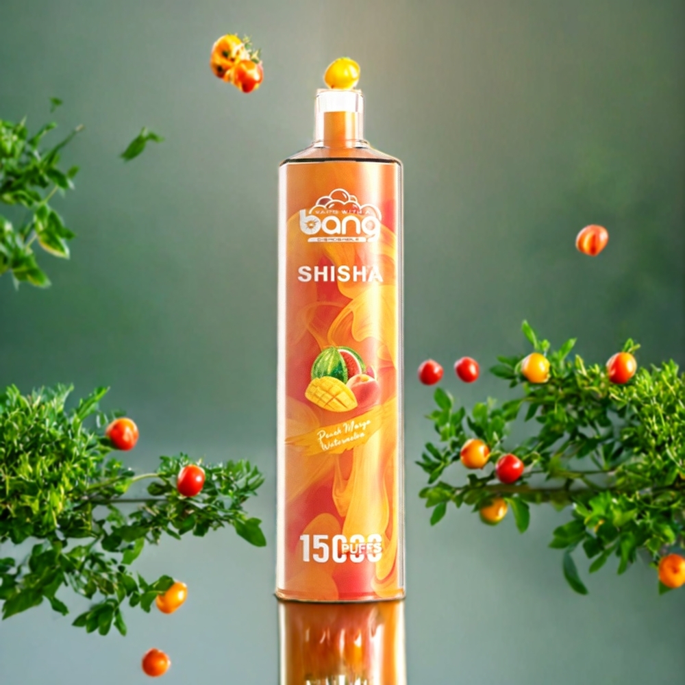 Suomi tukku Bang Shisha 15000 Puffs 23ml Disposable Vape Persikka Mango Vesimeloni Type-C Lataus