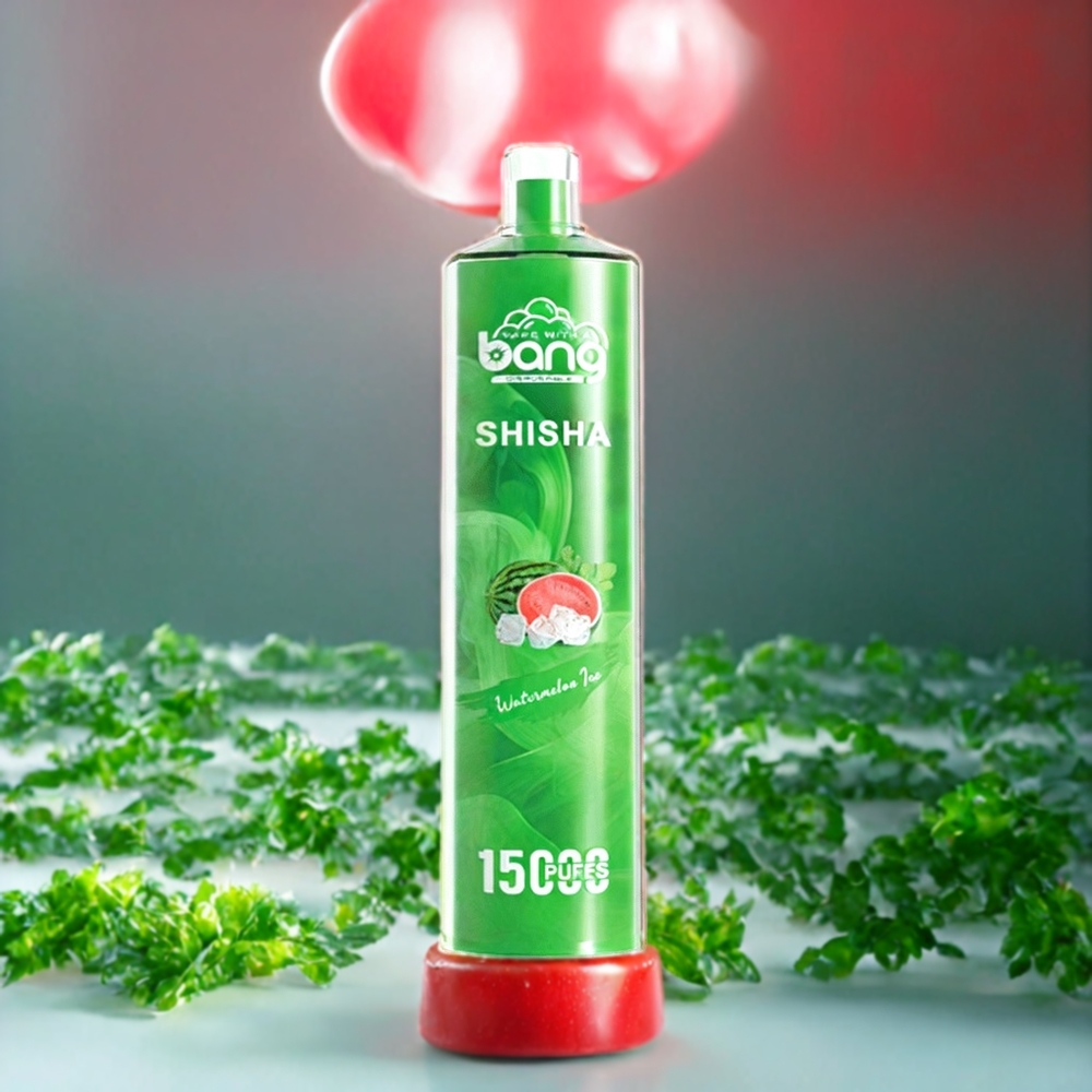 Suomi tukku Bang Shisha 15000 Puffs Disposable Vape Vesimeloni Jää 23ml E-Neste, Type-C Lataus, 600mAh Akku