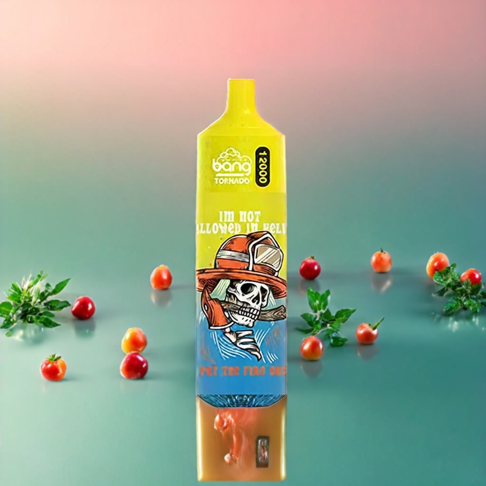 Suomi tukku Bang Tornado 12000 Puffs 23ml 650 mAh Disposable Vape Persikka-Jää