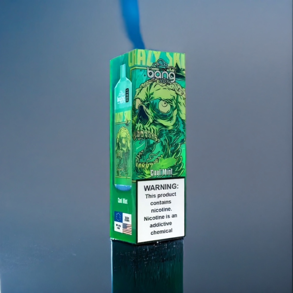 Suomi Tukku Bang Box 12000 Puffs 23ML 650mAh TYPE-C Vape Viileä Minttu 0%-5% Salt Nic 10pk/box