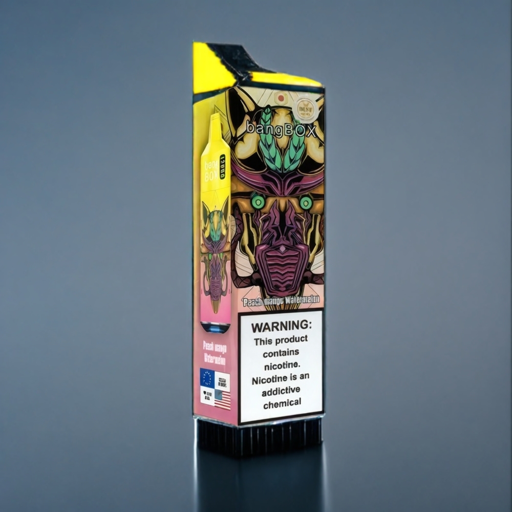 Suomi tukku Bang Box 12000 Puffs 23ML 650mAh TYPE-C Persikka Mango Vesimeloni