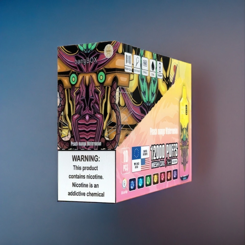 Suomi tukku Bang Box 12000 Puffs 23ML 650mAh TYPE-C Persikka Mango Vesimeloni