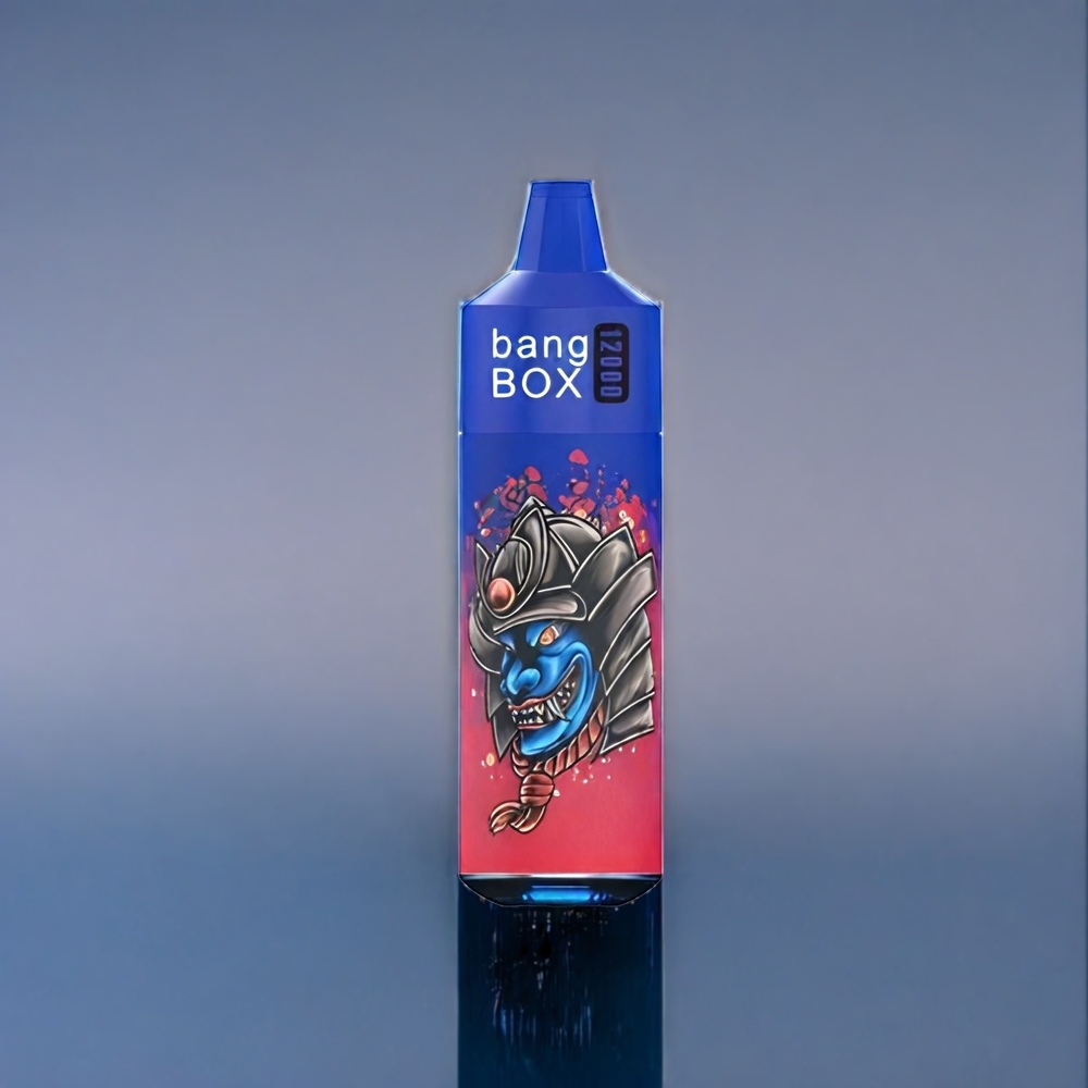 Suomi tukku Bang Box 12000 Puffs 23ML 650mAh TYPE-C Vape Mustikka Jää