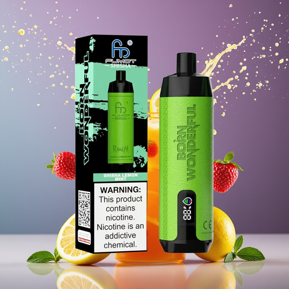 RandM Fumot Shisha Suomi tukku 10000 Puffs 18ml 850mAh Type-C Sitruuna-Minttu Disposable Vape