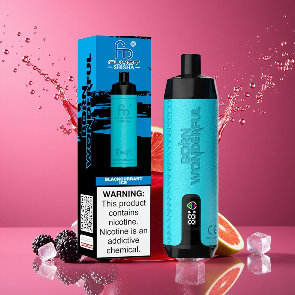 Suomi tukku RandM Fumot Shisha 10000 Puffs Disposable Vape Mustaherukka-Jää 18ml 850mAh Type-C