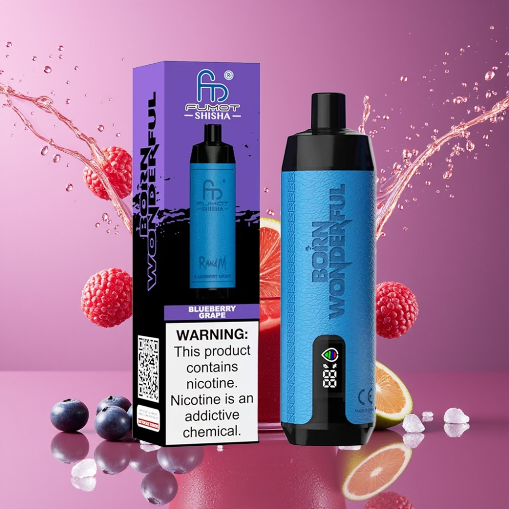 Suomi tukku RandM Fumot Shisha 10000 Puffs Disposable Vape Mustikka Viinirypäle 18ml Prefilled e-liquid 850 mAh Battery Type-C Port
